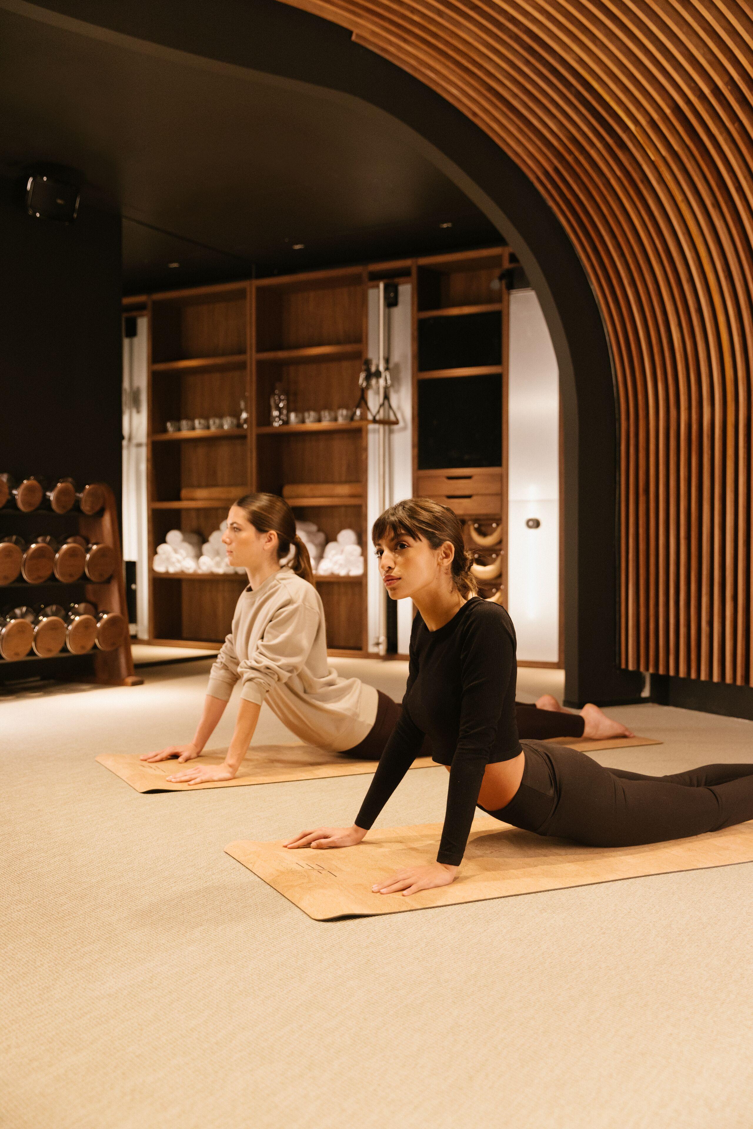 Dame Des Arts Parigi